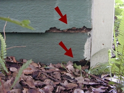 damaged-siding-contacting-ground.jpeg